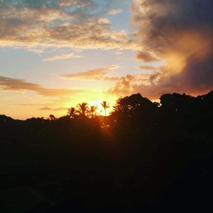 Novos Baianos Hostel E Pousada Порто Сегуро Екстериор снимка Sunset in the rainforest